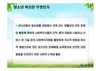 청소년 문제의 복지적 접근 보고서-8