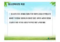 청소년 문제의 복지적 접근 보고서-10