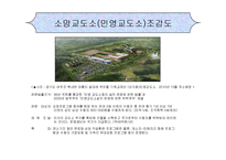 교정복지(정의, 필요성, 기능, 범죄이론, 비행, 지역사회교정, 교정분야, 교정사회복지사, 과제) PPT 프레젠테이션-19