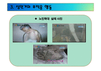성인기(생애과정, 초기성인기, 성인중기, 성인기부적응, 사회복지실천적용) PPT 프레젠테이션-20
