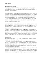 전략경영 레포트-3