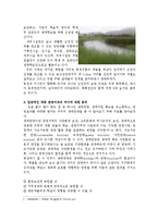 생태관광지 순천만 생태습지 탐방-2