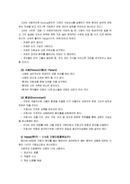 [간호이론D]핸더슨 이론(주요개념, 만성질환자 인구사회적 생활습관특성 및 14개 기본간호행위요구 사정, 간호계획-6