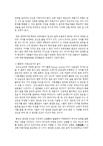 [놀이지도 4C형] 놀이와 유아교육과정은 아주 밀접한 관계일 수 있고 아닐 수도 있다-7