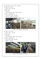 한우 전공실습(한우 개체 측정 실습)-3