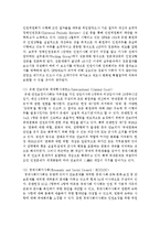 [인권법 3C형] 인권레짐의 발전과 국가 사법권의 제한에 대해서 설명하시오-9