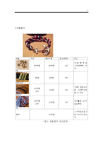 조립식(DIY) 팔찌 판매업체 창업 사업계획서-11