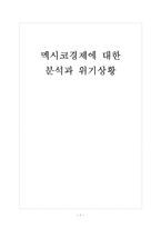 [멕시코시장] 멕시코경제에 대한 분석과 위기상황 보고서-1