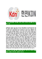 [한전KDN-최신공채합격자기소개서]한전KDN자소서,한전KDN자기소개서,한전자소서,KDN합격자기소개서,합격자소서-3