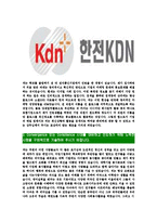 [한전KDN-최신공채합격자기소개서]한전KDN자소서,한전KDN자기소개서,한전자소서,KDN합격자기소개서,합격자소서-4