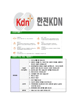 [한전KDN-최신공채합격자기소개서]한전KDN자소서,한전KDN자기소개서,한전자소서,KDN합격자기소개서,합격자소서-7