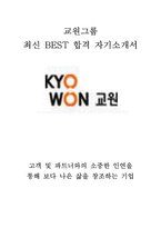 교원그룹 영업 최신 BEST 합격 자기소개서!!!!-1