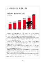 [자전거산업] 자전거시장의 성장과 향후전망 보고서-3
