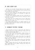 [자전거산업] 자전거시장의 성장과 향후전망 보고서-6