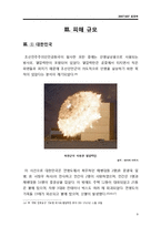북한의 연평도 포격-9