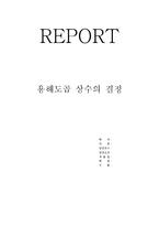 REPORT 용해도곱상수의 결정-1