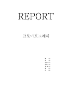 REPORT 크로마토그래피-1