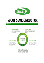 [서울반도체-최신공채합격자기소개서]서울반도체자소서,서울반도체자기소개서,반도체자소서,서울합격자기소개서-6