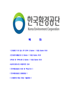 [한국환경공단-최신공채합격자기소개서]한국환경공단자소서,자기소개서,한국환경공단자소서,환경공단합격자기소개서-2