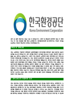 [한국환경공단-최신공채합격자기소개서]한국환경공단자소서,자기소개서,한국환경공단자소서,환경공단합격자기소개서-4