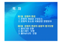 글로벌 기업의 문화적 환경-2