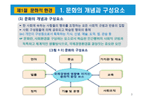 글로벌 기업의 문화적 환경-3