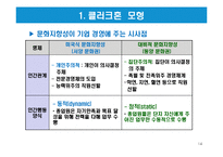 글로벌 기업의 문화적 환경-14