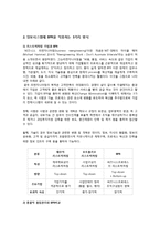 [IT와 경영정보시스템] 정보시스템에 BPR을 적용하는 방식 세 가지를 제시하고, 각각의 방식에 대해 간략히 설명-2
