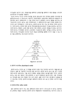 [교육심리학] 매슬로우(Maslow)의 동기위계설, 에릭슨(Erikson)의 성격발달 8단계설과 교육적 시사점-2