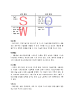해외직접투자 사례분석과 해외직접투자 성공요인 분석(KMC,폴리텍 해외직접투자 성공사례 분석)-9