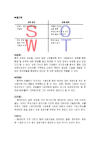 해외직접투자 사례분석과 해외직접투자 성공요인 분석(KMC,폴리텍 해외직접투자 성공사례 분석)-10