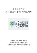 신용보증기금 KODIT 코딧 5급 최신 BEST 합격 자기소개서!!!!-1