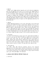 노인을 보는 관점 중 통합 접근 패러다임의 기준으로 노인을 분석해 보세요-4