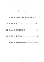 [인터넷언어] 인터넷언어(인터넷용어)의 사회적인 영향과 문제점 보고서-2