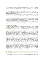 [아동권리] 아동권리의 발전과정과 유형 및 내용-5