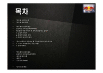 레드불 REDBULL 성공비결과 레드불 마케팅전략 분석및 레드불 한계점분석-2