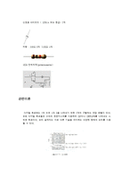 디지털공학실험 2장 논리 프로브 구성(예비)-2