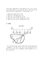 (사회복지실천기술론) 사회복지사의 자기이해가 필요한 이유와 본인의 가족 가계도와 생태도를 작성하고 그 내용을 설명하시오-3