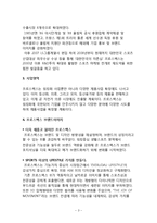 프로스펙스W 마케팅(SWOT,STP,4P) 전략분석과 프로스펙스 경영분석과 프로스펙스W 새로운 마케팅전략 제안-3