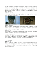 LOOKA 루카(룩아메리카노) 마케팅전략분석과 IMC분석및 광고전략분석과 전략제안,나의의견-11