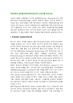 휴대전화(휴대폰)의 글로벌마케팅전략(삼성전자와 LG전자를 중심으로 스마트폰 국제마케팅전략)-2