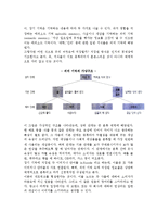 [소비자행동과 광고전략] 소비자의 정보처리모델(소비자의 정보획득,정보처리,스키마이론을 통한 광고전략)-4