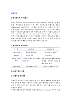 [조직구조] 조직구조의 유형(종류) -전통적인 조직구조, 글로벌경영을 위한 조직구조, 공식조직과 비공식조직-2