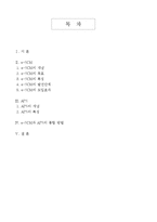 e-SCM과 APS의 설명 및 통합 방법-2