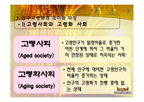 우리나라 노인문제와 노인복지-노인문제에 대한 사회복지적 대책-13