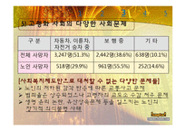 우리나라 노인문제와 노인복지-노인문제에 대한 사회복지적 대책-17