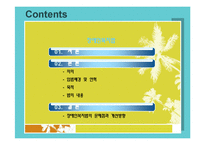 장애인 복지법-법의 의의,내용,연혁,입법배경,장애인복지법의 문제점과 개선방향-2