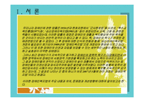 장애인 복지법-법의 의의,내용,연혁,입법배경,장애인복지법의 문제점과 개선방향-3