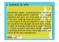 장애인 복지법-법의 의의,내용,연혁,입법배경,장애인복지법의 문제점과 개선방향-6