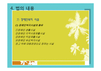 장애인 복지법-법의 의의,내용,연혁,입법배경,장애인복지법의 문제점과 개선방향-17